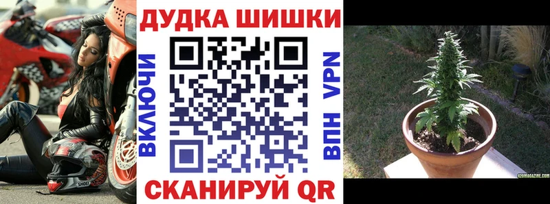 Как найти наркотики Вологда Галлюциногенные грибы Альфа ПВП Конопля Мефедрон Cocaine
