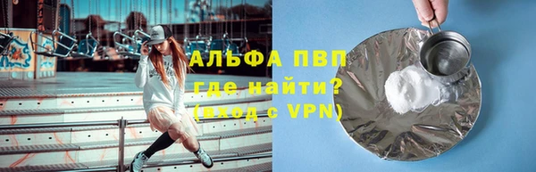 прущие грибы Мегион