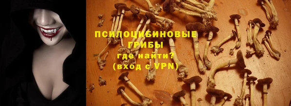 таблы Медвежьегорск