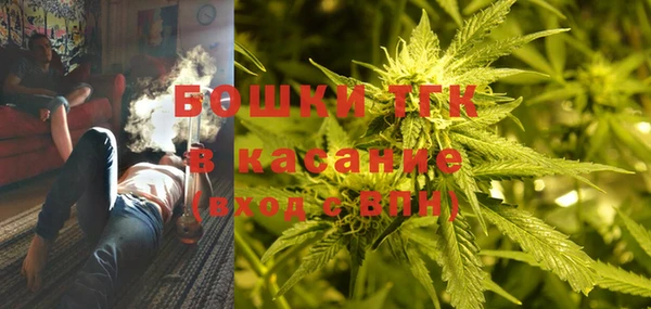 прущие грибы Мегион