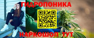 гидропоника Дубна