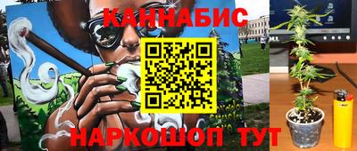 гидропоника Дубна