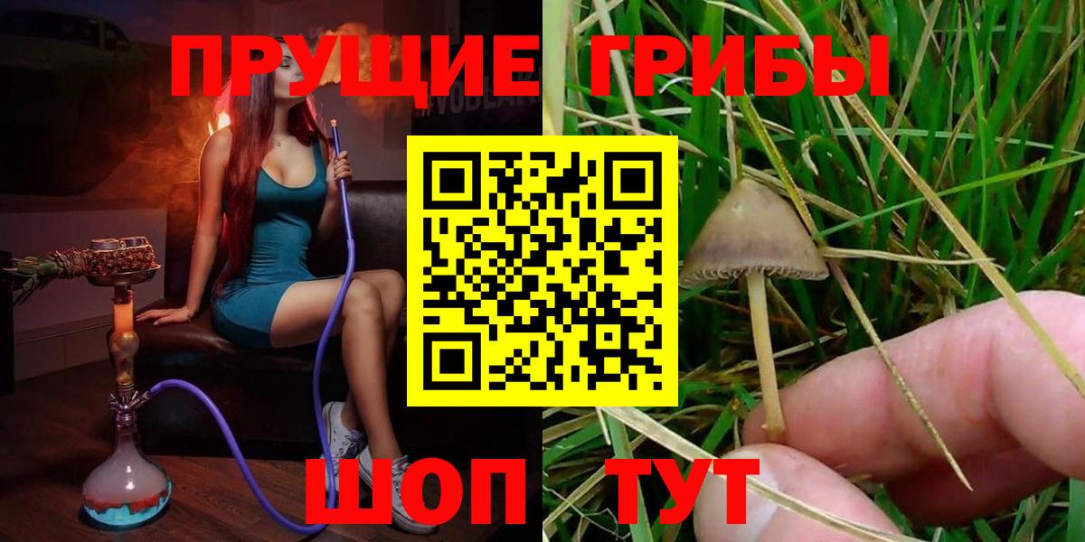 Вологда  Галлюциногенные грибы MAGIC MUSHROOMS  Вход с VPN 